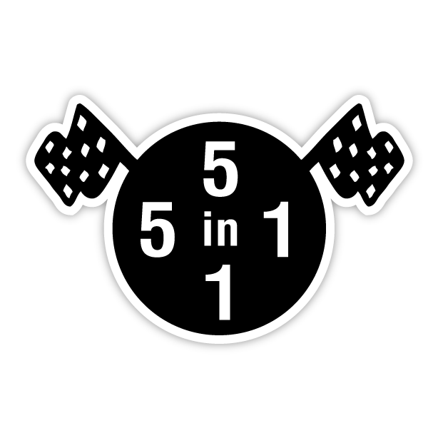 5 in 1